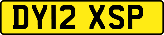DY12XSP