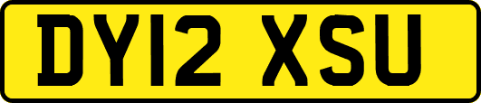 DY12XSU