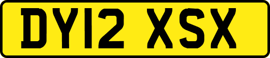 DY12XSX