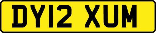 DY12XUM