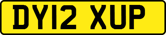 DY12XUP