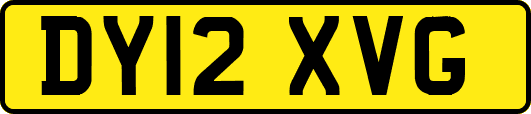 DY12XVG