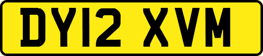 DY12XVM