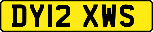 DY12XWS