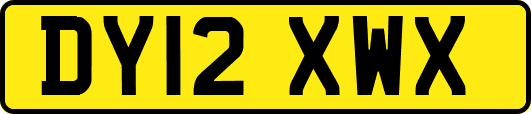 DY12XWX