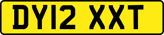 DY12XXT