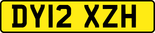 DY12XZH
