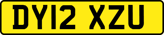 DY12XZU