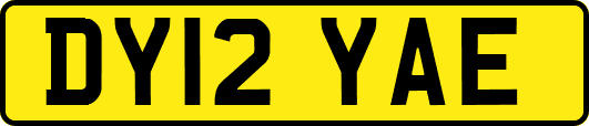 DY12YAE
