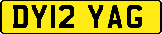 DY12YAG