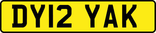 DY12YAK