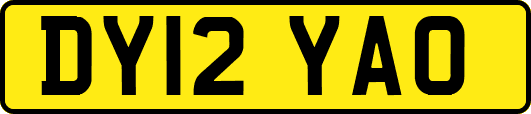 DY12YAO