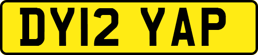 DY12YAP