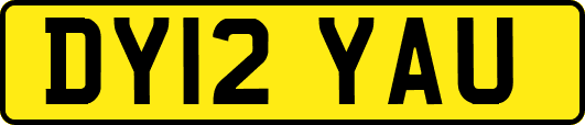 DY12YAU
