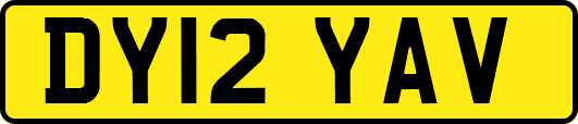 DY12YAV
