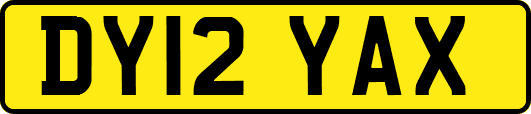 DY12YAX