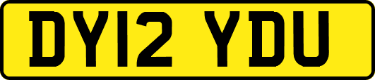 DY12YDU