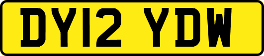 DY12YDW