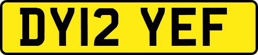 DY12YEF