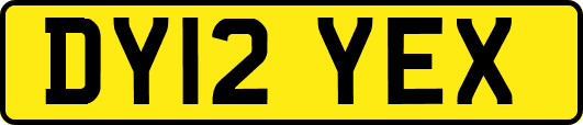 DY12YEX