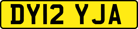 DY12YJA