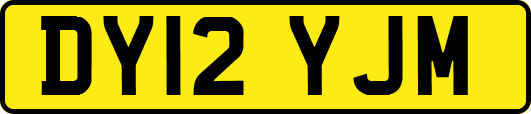 DY12YJM