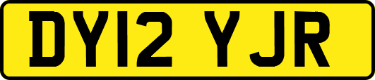 DY12YJR