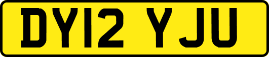 DY12YJU