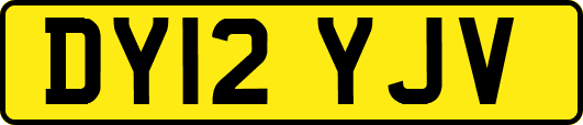 DY12YJV