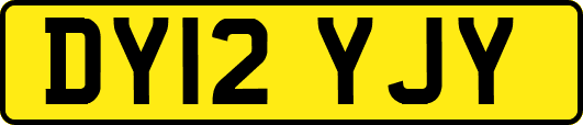 DY12YJY