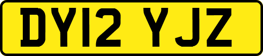 DY12YJZ