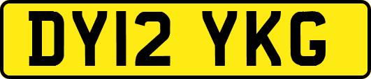 DY12YKG