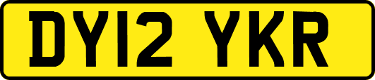 DY12YKR