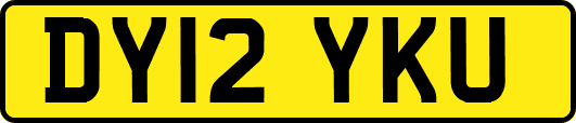 DY12YKU