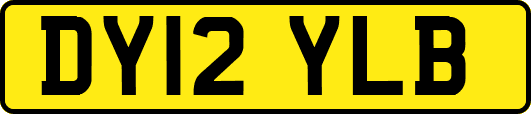DY12YLB