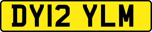 DY12YLM