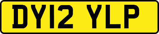 DY12YLP