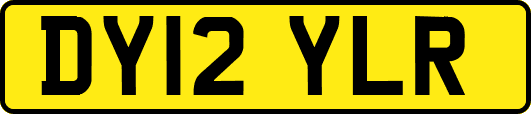 DY12YLR