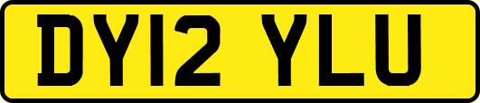 DY12YLU
