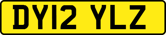 DY12YLZ