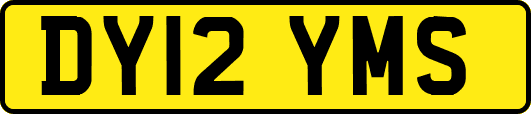 DY12YMS