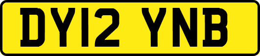 DY12YNB