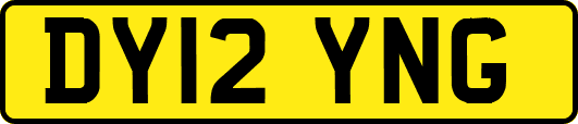 DY12YNG