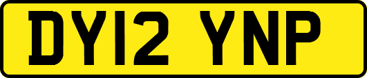 DY12YNP