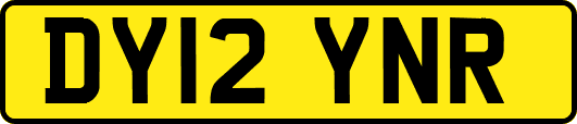 DY12YNR