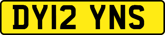 DY12YNS