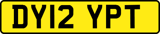 DY12YPT