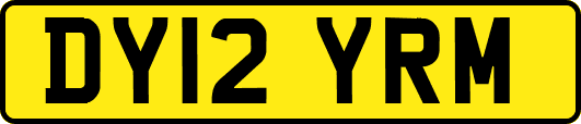 DY12YRM