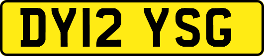 DY12YSG