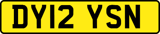 DY12YSN
